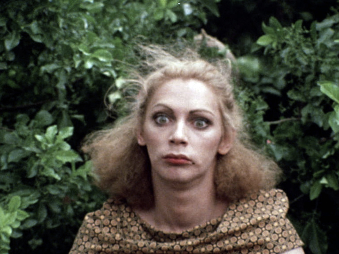 Still from Scarecrow in a Garden of Cucumbers.